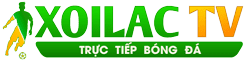 nền đt