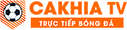 nền đt