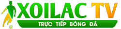 nền đt